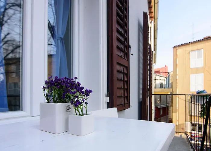 Guest house Old By Adriaticexplorer Zadar